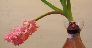drooping flower in a vase