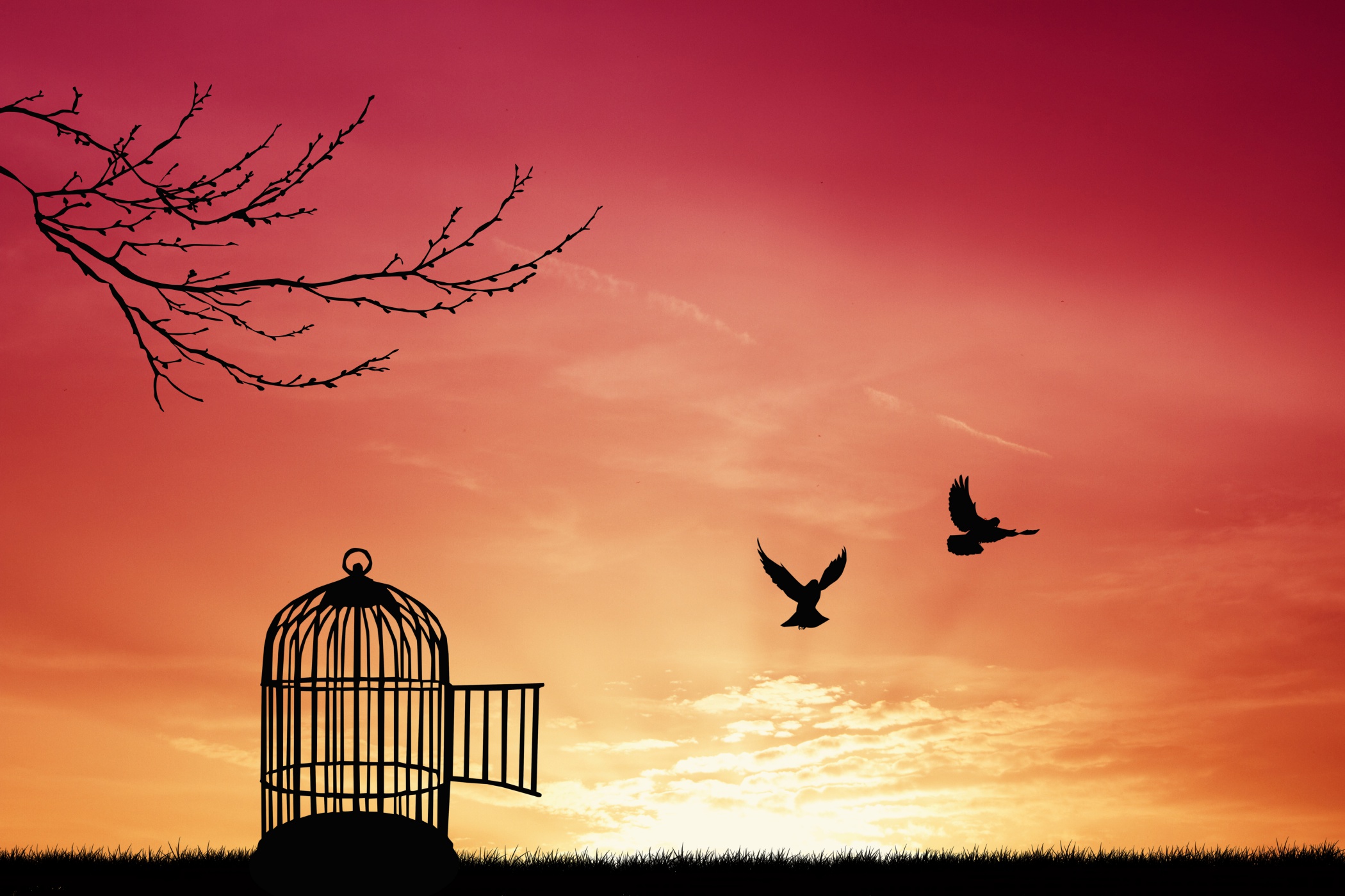 NLP & Hypnosis: The Keys To Your Cage?